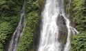 image_11066