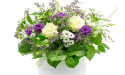 image_11468