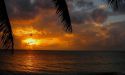 image_12026