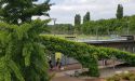 image_14466
