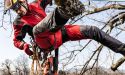 image_15592