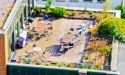 image_16448