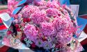image_23935