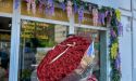 image_23941