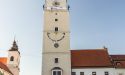 image_5455